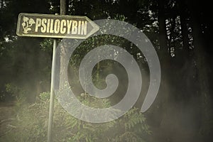 Old signboard with text psilocybin near the sinister forest
