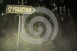 Old signboard with text psilocybin near the sinister forest photo