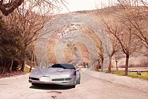 An old silver pontiac in an avenue