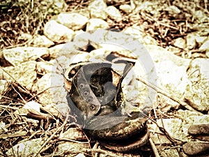 Old single boot (16)