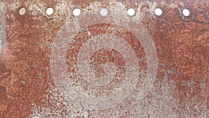 Old skin taxture on wall