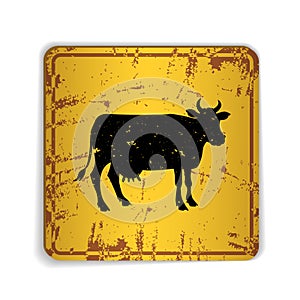 Old skratched yellow road sign with cow silhouette