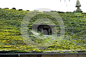 Old slate roof covered in moss.