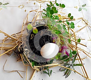 Old Slavic Orthodox pagan ritual of fertility. Preparing to burring Easter egg in the meadow, first row in the field before sowing