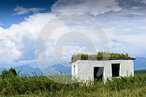 Old small abandoned and ruinous country house with plants on the roof in Russia