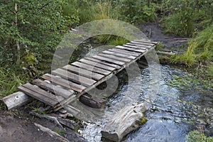 Old small bridge through a river in a forest