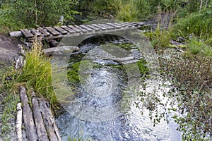 Old small bridge through a river in a forest