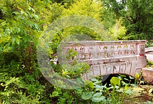 Old small bridge surrounded by vegetation