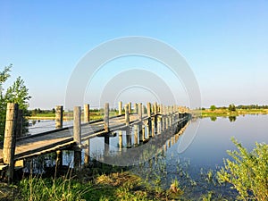 Viejo pequeno largo tiempo de madera pierna puente cruz través de hermoso estanque sobre el hermoso verano en 