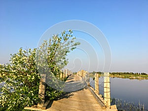 Viejo pequeno largo tiempo de madera pierna puente cruz través de hermoso estanque sobre el hermoso verano en 