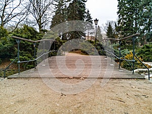 Old small wooden bridge in park with bushes around