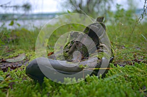 Old sneaker overgrown with moss thrown in the grass