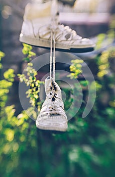 Old sneakers and green spring garden