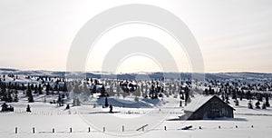 Old Snowy Barn