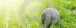 Old soccer ball on the green grass