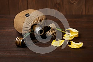Old soldier`s flask and St. George`s ribbon on wooden background, yellow flower, world war II memorial concept and fallen warrio