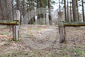 Old solid fence in the forest. The entrance gate on a forest road