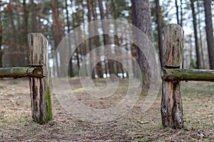 Old solid fence in the forest. The entrance gate on a forest road