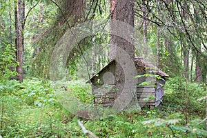 Old solid log cabin shelter hidden