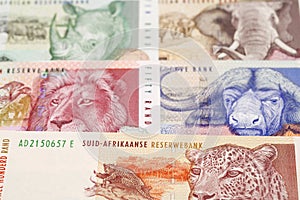 Old South African rand a business background