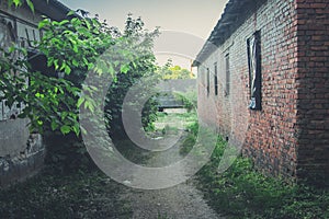 Old Soviet abandoned collective farm