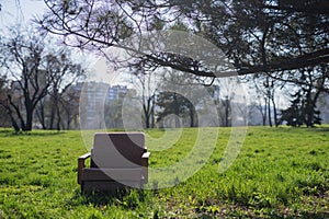 Old soviet armchair outside on the lawn.