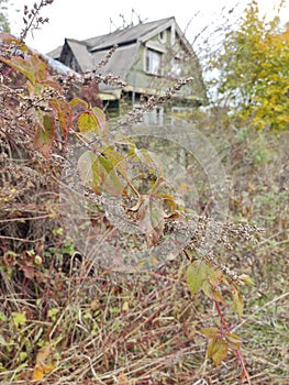 Old Soviet grain. Remnants of Soviet civilization. Very atmospheric building.