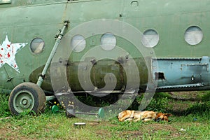 Old Soviet helicopter and dog