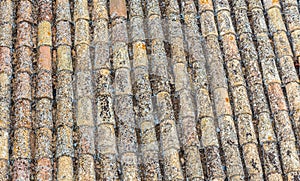 Old Spanish roof tiles. Beige and yellow texture.