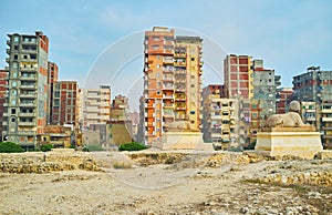 Old sphinxes, watching the city, Alexandria, Egypt