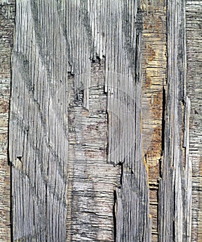 Old Splintered Plywood