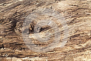 Old split wood