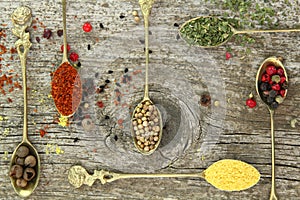 Old spoons with spices photo