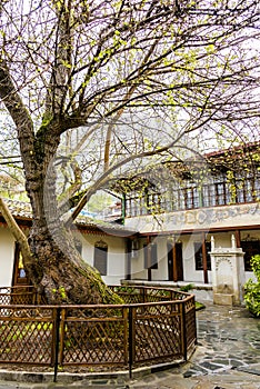 Old spring tree in the courtyard of the Khan Palace in Bakhchisarai