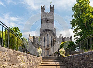 Old St Mary Cathedral in Limerick