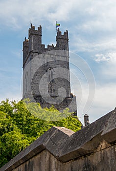 Old St Mary Cathedral in Limerick