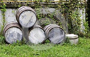 Old stacked beer barrels