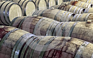 Old and stained wooden wine barrels in rows inside a wine cellar