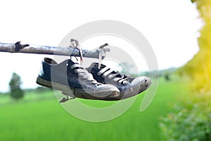 an old stainly shoes hang on bamboo bar with green field background