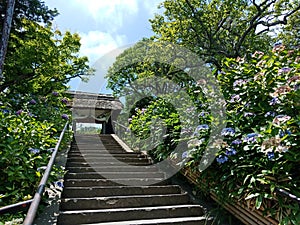 Old stair to shinto shrine