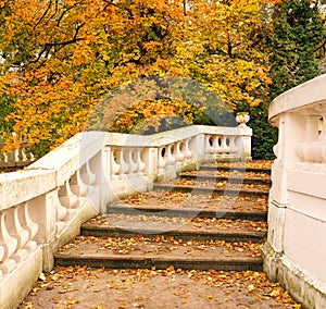 old staircase with fallen leaves autumn