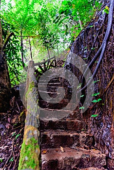 Old staircase in the jungle of vietnam