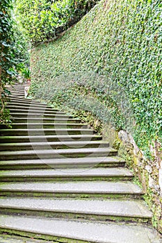 Old staircase in nature. Garden architecture design, green natural path