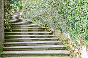 Old staircase in nature. Garden architecture design, green natural path