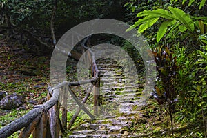 Old staircase with stone steps covered with moss and railing from tree branches leads into the wilds