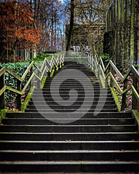 Old stairs in forest. moss coverd with stone steps in forest in Bielefeld