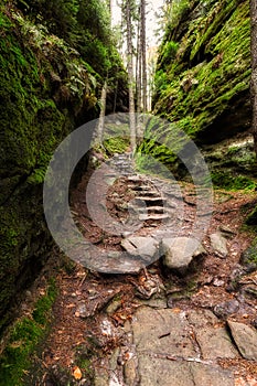 Old stairs in the forest near Kamnitzleiten