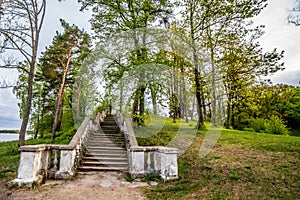 Old stairs in forest