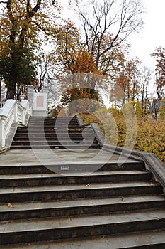 Old stairs going up by autumn season in park Kadriorg. Golden brown foliage on the back. Tallinn, Estonia. October 2021