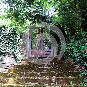 Old stairs going up to the doors in forest